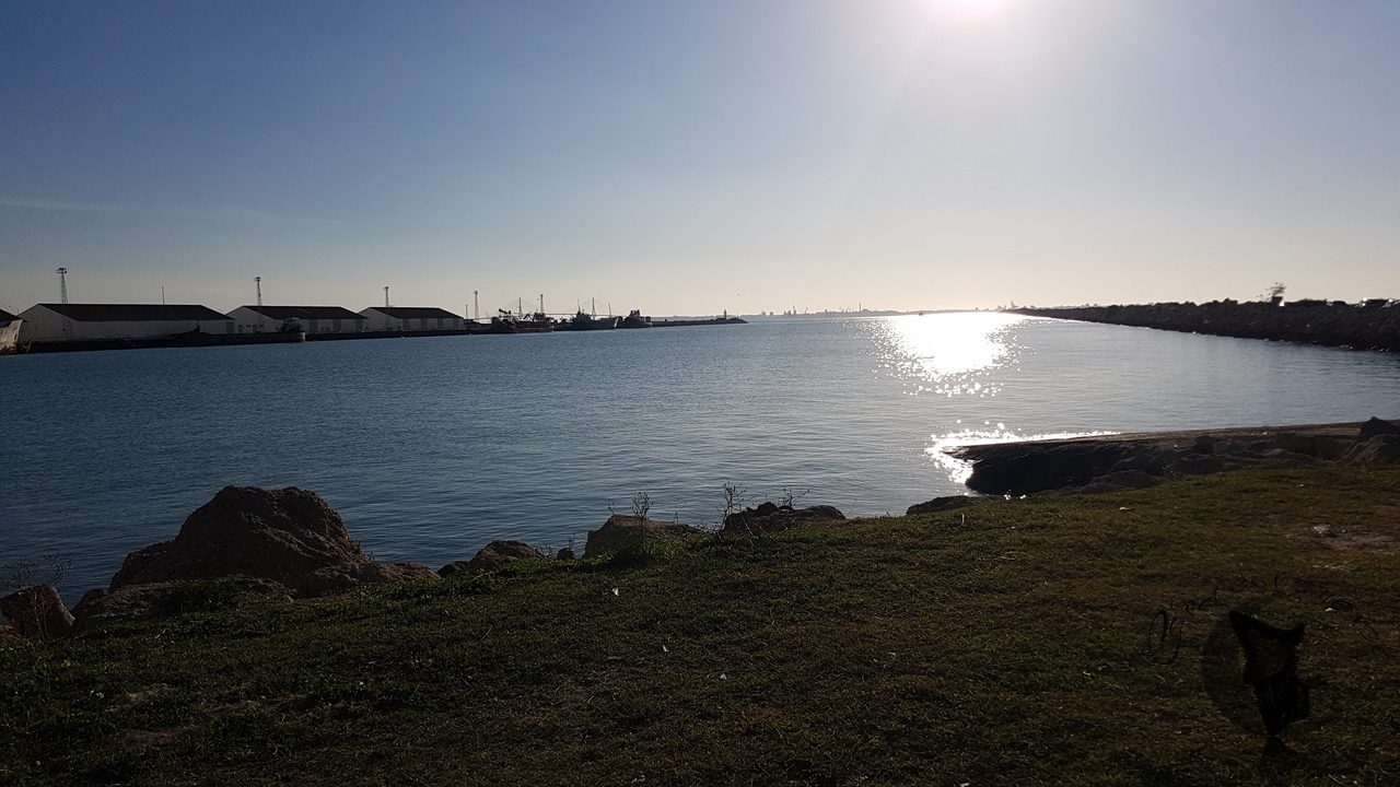 elpirañaca.cenaconduende (33)